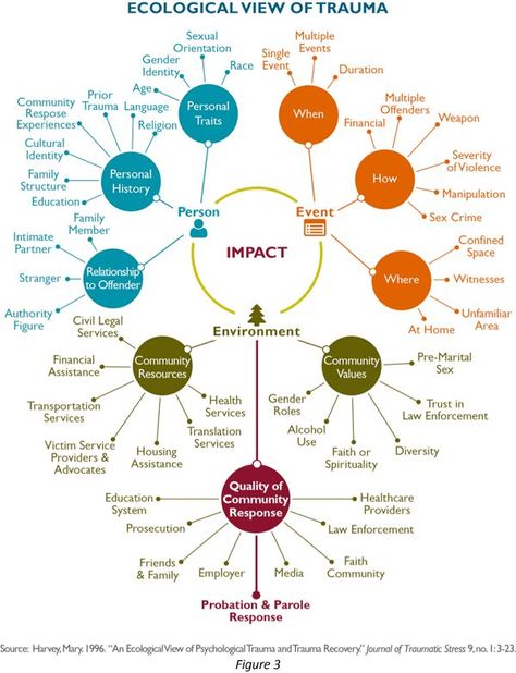 Section 4: Working with Victims of Crime | Working with Victims of Crime #trauma #therapist #counselor #crime #victim Nervus Vagus, Clinical Social Work, Health Psychology, Mental Health Counseling, Therapy Counseling, Counseling Resources, Therapy Worksheets, Group Therapy, Therapy Tools