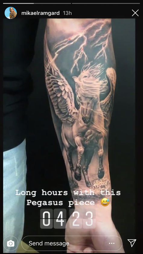 Ilia Topuria Tattoo, Tattoo For Biceps, Horse With Wings, Pegasus Tattoo, Greek Tattoos, Arm Band Tattoo, Warrior Tattoo, Band Tattoo, Sleeve Tattoo