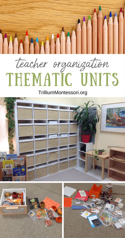 Organizing Thematic Units and Seasonal Supplies - Trillium Montessori Montessori Organization, Montessori Storage, Organizing Classroom, Homeschool Themes, Thematic Teaching, Teacher Storage, Montessori Lessons, Montessori Practical Life, Teachers Corner