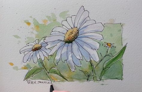 https://www.flickr.com/photos/7331668@N08/35128694563 Peter Sheeler, Zine Inspiration, Line And Wash, Art Zine, Watercolor Flowers Tutorial, Winter Watercolor, Watercolor Paintings Easy, Watercolor Flower Art, Watercolor Paintings Tutorials