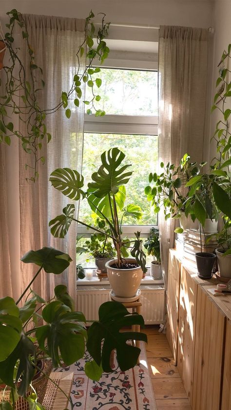 Urban Bedroom, Deco Boheme Chic, Boheme Chic, Inside Plants, Interior Plants, Bedroom Decor Design, Deco Boheme, Plant Aesthetic, Boho Room