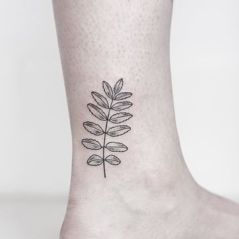 A simple Rowan leaf for Meghan ________________________________________ #rachainsworth #leaftattoo #ankletattoo #minimaltattoo #smalltattoo Rowan Tattoo, Logan Tattoo, Rowan Leaf, Celtic Tree Tattoos, Ash Leaf, Tree Tattoo Small, Leaf Tattoo, Rowan Tree, Celtic Tattoos