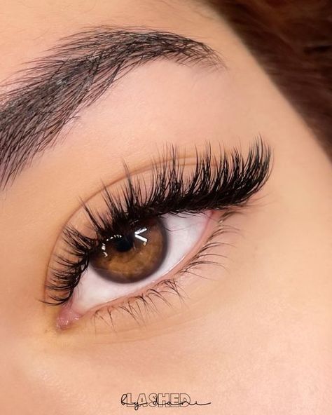 Cashmere Lash Extensions, Wet Look Cat Eye Lashes, Whisky Hybrid Lashes, Whiskey Lashes, Spikey Lash Extentions, Wispy Hybrid Lash Extensions Cat Eye, Spike Eyelash Extensions, Hybrid Lash Extensions Styles Cat Eye, Lashes 1:1