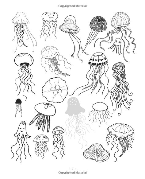 Amazon.com: 20 Ways to Draw a Jellyfish and 44 Other Amazing Sea Creatures: A Sketchbook for Artists, Designers, and Doodlers (9781631590696): Trina Dalziel: Gateway Draw A Jellyfish, Jellyfish Jewelry, Jellyfish Illustration, Jellyfish Photography, Jellyfish Decorations, Jellyfish Painting, Jellyfish Drawing, Jellyfish Craft, Draw Realistic