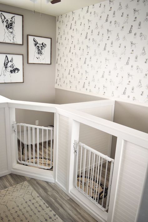 Dog Room In Apartment, Ikea Dog Room, In Home Dog Kennel, Pet Furniture Beds & Bed Frames, Indoor Dog Space, Cute Dog Area In Bedroom, Dog Space In Bedroom, At Home Dog Boarding Ideas, Dog Kennel Room Ideas