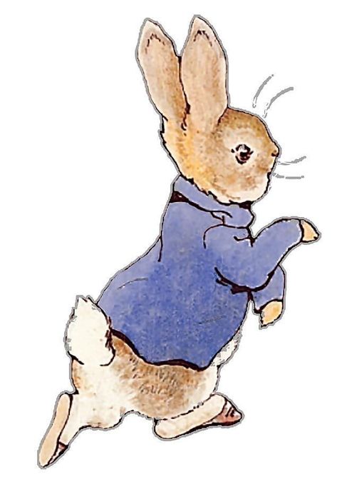 Beatrix Potter Characters, Peter Rabbit Characters, Beatrix Potter Illustrations, Peter Rabbit Books, Tale Of Peter Rabbit, Here Comes Peter Cottontail, Bunny Party, Vertical Poster, Beatrix Potter