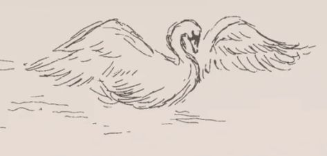 Swan Reference Drawing, Swan Flying Illustration, Swan Flying Drawing, Flying Swan Drawing, Swan Drawing Aesthetic, Flying Swan Tattoo, Black Swan Sketch, Swan Drawing Easy, Swan Drawing Sketches