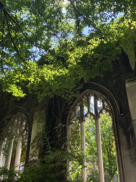 Green Cathedral, Photo Studies, Jane Austin, Gothic Church, Garden Arch, Interior And Exterior, Austin, Dream House, Outdoor Structures