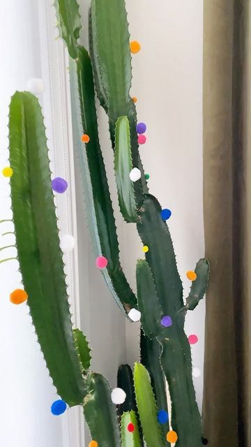 Pompom Cactus, Pom Pom Cactus, Botanical Interior Design, Cactus Christmas Trees, African Milk Tree, Botanical Interior, Artistic Room, Cactus Planta, Maximalist Home