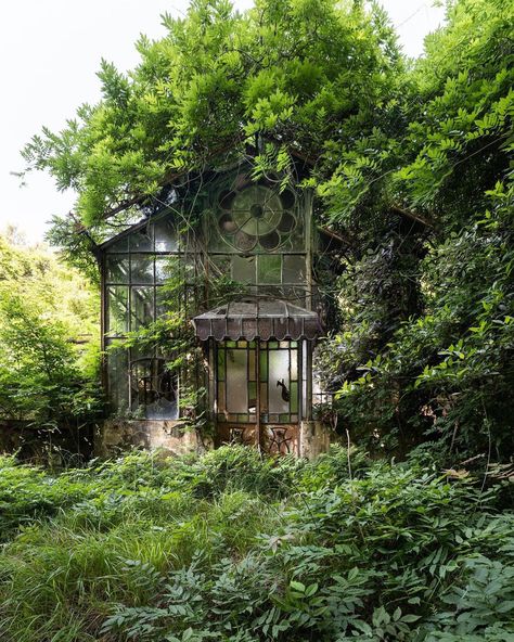 Abandoned Greenhouse, Victorian Greenhouse, Victorian Greenhouses, Unusual Plants, Abandoned Houses, Nature Aesthetic, New Wall, Pretty Places, Abandoned Places