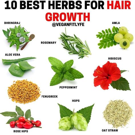 Herbs for Hair Growth👇🔥💚 . Tag someone who needs to see this🙏 . What is your favorite hair growth herb on the list? Comment below? . There… Herbs That Help Hair Growth, Herb For Hair Growth, Herbs Good For Hair Growth, Indian Herbs For Hair Growth, Scalp Care For Hair Growth, Teas For Hair Growth, Herbs Hair Growth, Hair Growth Herbs, Hair Herbs