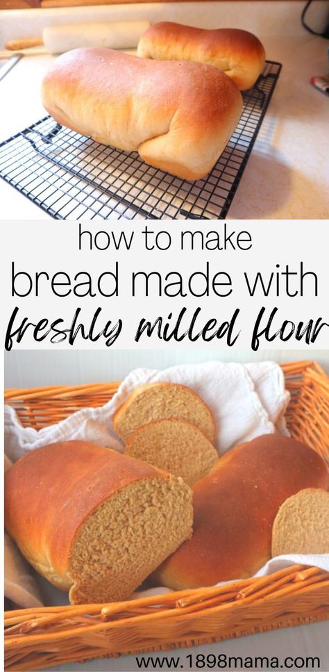 Learn how to make homemade bread with step-by-step instructions with one of my favorite recipes. The ingredients make up this wholesome, delicious loaf! Freshly milled flour recipes. Freshly milled flour bread. Baking with freshly milled flour. Milled Flour Recipes, Wheat Berry Bread Recipe, Wheat Flour Bread Recipe, Wheat Berry Recipes, Bread Flour Recipe, Homemade Whole Wheat Bread, Make Homemade Bread, Wheat Bread Recipe, Flour Bread