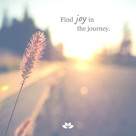 Find Joy In The Journey Wallpaper, Joy Quotes Aesthetic, Finding Joy In The Little Things, Finding Joy Quotes, Peaceful Photos, Inspirarional Quotes, Yearbook Inspiration, Goals 2024, Find Joy In The Journey