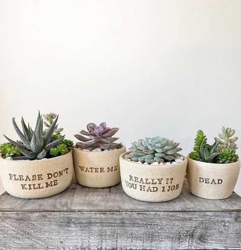 Etsy Is Selling Hilarious Succulent Planters, and We Call Dibs on the "I Wet My Plants" One Terracotta Quotes, Succulent Planter Ideas, Indoor Farm, Keeping Plants Alive, Pots Design, Succulent Planter Diy, Planter Diy, Plant Puns, Plant Pot Design