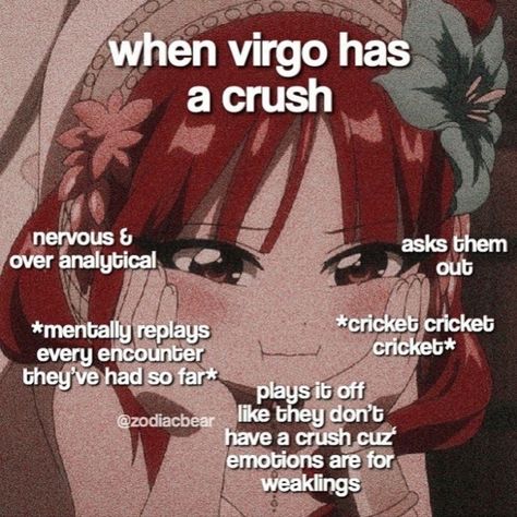 Virgo Emotions, Virgo Personality, Zodiac Signs Pictures, Virgo Memes, Virgo Traits, Zodiac Signs Chart, Virgo Love, Virgo Quotes, Zodiac Signs Virgo