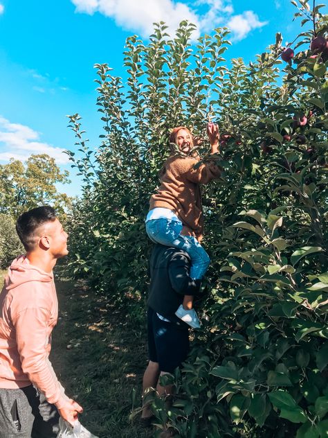 Outfit, fall, apple picking Fall Apple Picking, Apple Picking Outfit, Fall Activities, Apple Picking, Outfit Fall, Autumn Activities, Couple Photos