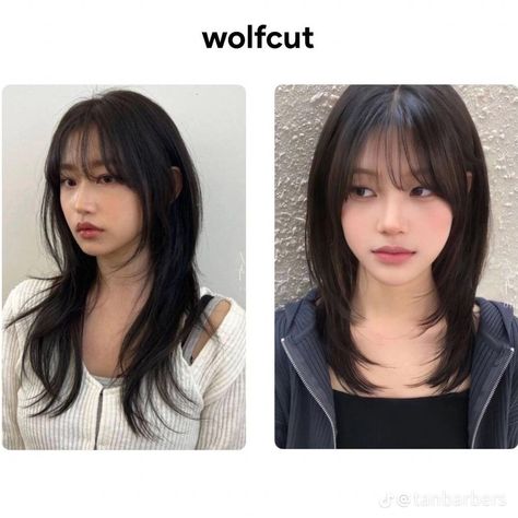 Wispy Bangs Round Face, Pretty Hair Cuts, Haircut For Big Forehead, Cool Hair Designs, Haircut For Face Shape, Wolfcut Hair, Hair Color Underneath, Oval Face Haircuts, Oval Face Hairstyles