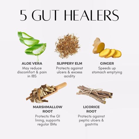 Paola | Detox, Cellular Health & Lifestyle Medicine (@paolaxhuli) posted on Instagram: “🌿 These are my top favorite herbs for gut health. ⁣ Targeted supplementation can be powerful. However, it is just one piece of the puzzle.…” • Jul 1, 2022 at 4:34pm UTC Lifestyle Medicine, Cellular Health, Be Powerful, Nutritional Therapy, Facial Aesthetics, Slippery Elm, Herbs For Health, Gut Healing, Holistic Medicine