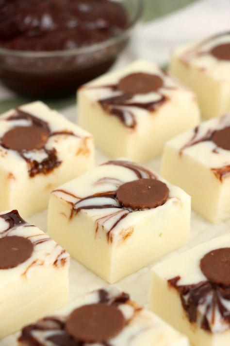 Moose Tracks Dessert, Pudding Fudge Recipes, Wrapping Fudge For Gifts, Moose Tracks Fudge, Flavored Baking Chips, Hot Cocoa Fudge Recipe, Fun Fudge Flavors, Moose Farts Cookie Recipe, No Bake Moose Farts