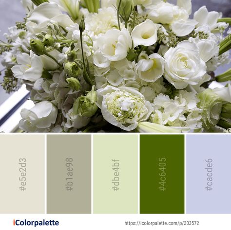 White Flower Color Palette, Flora Pictures, Flower Color Palette, Paint Pallet, Clean Flowers, Bouquet Images, Wedding Aesthetics, Color Palette Ideas, Colors Inspiration