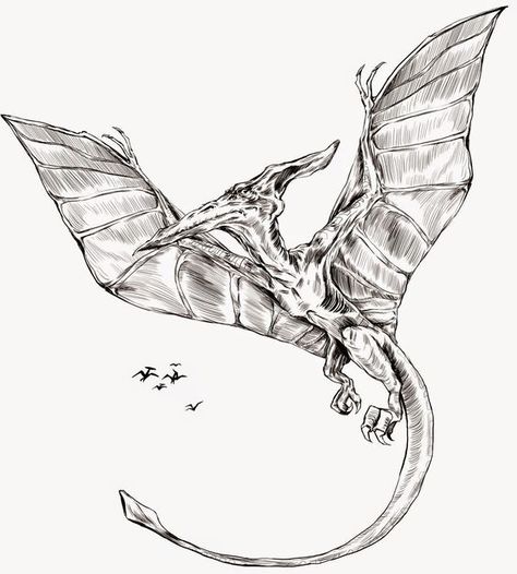 Pterodactyl Drawing, Pterodactyl Tattoo, Dinosaur With Wings, Magazine Editorial Design, Angel Devil Tattoo, Cool Tattoo Drawings, Cartoon Sketch, Dinosaur Tattoos, Military Tattoos