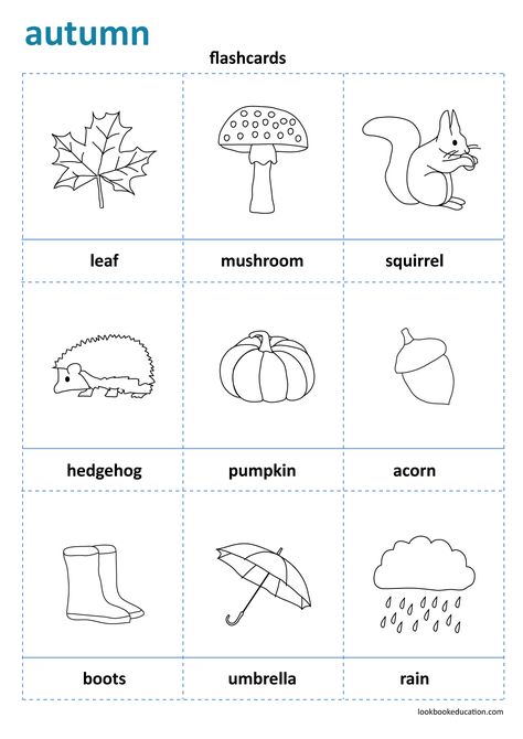 Flashcards. Fall, Autumn worksheet. Preschool, Kindergarten and First Grade Worksheets. Learn with Farm Animals, Seasons, Shapes. Kindergarten Autumn Activities, Kindergarten Fall Worksheets, Fall Math Kindergarten, Fall Preschool Worksheets, Seasons Worksheets, Fall Worksheets, Kindergarten Math Worksheets Free, Autumn Animals, Preschool Science Activities