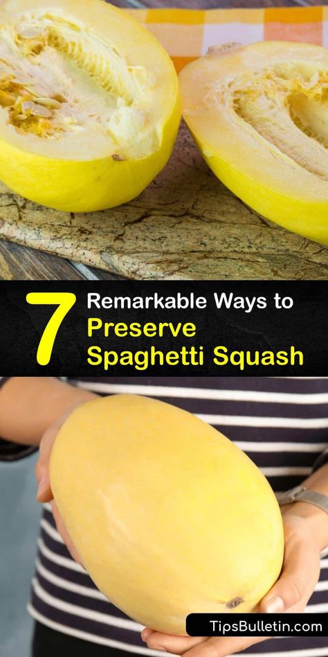 Freeze Spaghetti Squash How To, How To Dehydrate Spaghetti Squash, Dehydrate Spaghetti Squash, Storing Spaghetti Squash For Winter, Spaghetti Squash Canning Recipes, What Can You Make With Spaghetti Squash, Storing Spaghetti Squash, How To Use Spaghetti Squash, Spaghetti Squash Freezing