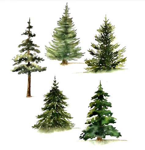 Artistic Christmas Tree, Emma Lefebvre, Watercolor Pine Trees, Christmas Tree Watercolor, Watercolor Christmas Cards Diy, Tree Watercolor Painting, Painting Trees, Christmas Tree Collection, Water Paint