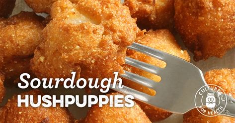 Sourdough Hushpuppies Recipes Homemade Hush Puppies, Jiffy Mix Recipes, Living On A Dime, Friendship Bread Recipe, Hush Puppies Recipe, Sourdough Bread Starter, Southern Comfort Food, Homemade Sourdough Bread, Bread Starter