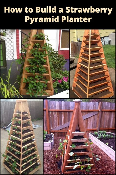 🍓 Grow your own berry paradise with our step-by-step guide on building a stunning Strawberry Pyramid Planter! 🌱🌼 #DIYgarden #StrawberryDreams #GreenThumb Strawberry Pyramid, Garden Pyramid, Decor Business Ideas, Strawberry Growing, Home Decor Business Ideas, Pyramid Planter, Home Decor Business, Garden Screens, Strawberry Planters