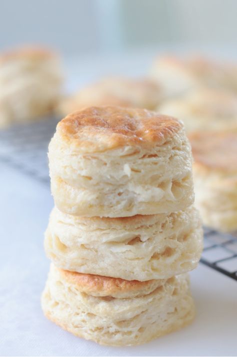 Self rising flour, butter, and milk. That's all you need to bake up delicious, flaky, layered 3 ingredient biscuits. Baked until golden then generously coated in melted butter. Make a dozen with our easy recipe! Milk Butter Flour Biscuits, Easy Self Rising Flour Biscuits, No Rise Biscuits, 4 Ingredient Biscuits, Angel Biscuits With Self Rising Flour, Buttermilk Biscuits Self Rising Flour, Biscuit Recipe With Self Rising Flour, Self Rising Flour Biscuits, Biscuits With Self Rising Flour