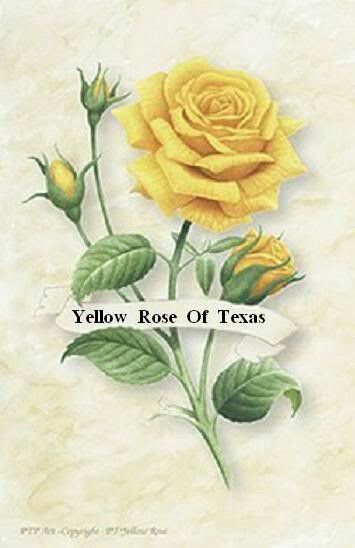 Yellow Rose of Texas Yellow Rose Bouquet Tattoo, Texas Rose Tattoo, Yellow Roses Tattoo, Yellow Rose Of Texas Tattoo, Rose Tattoo Yellow, Yellow Rose Texas Tattoo, Yellow Rose And Butterfly Tattoo, Cowboy Cards, Yellow Rose Of Texas