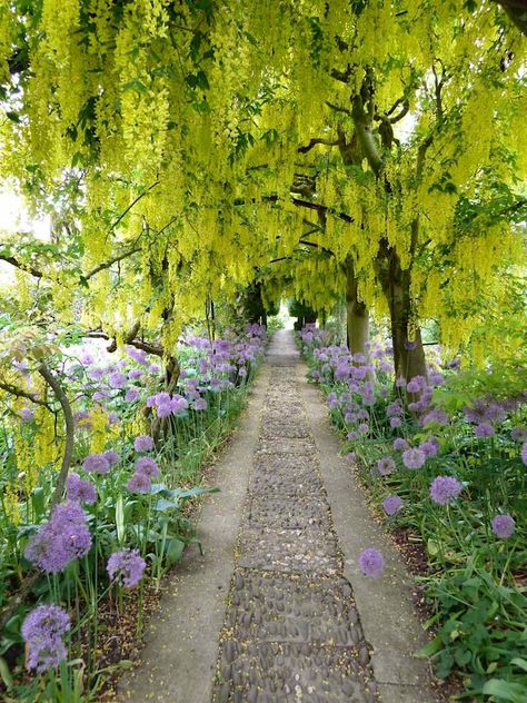 The Most Exquisite Gardens and Landscaping Ever! Charles Dowding, Barnsley House, Stone Garden Paths, Exquisite Gardens, Sloped Garden, Gravel Garden, Garden Walkway, Most Beautiful Gardens, Beautiful Plants