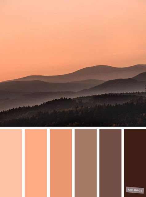 Brown chocolate and peach color combination #color #colorpalette #peach Peach Color Combination, Peach Colour Combinations, Peach Color Palette, Peach Color Palettes, Bedroom Colour Palette, Brown Color Schemes, Brown Color Palette, Color Schemes Colour Palettes, Brown Chocolate