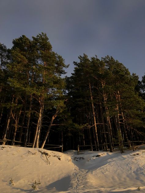 forest // beach // snow // trees // tree // dark // dark clouds // gray clouds // aesthetic // low exposure // footsteps // snow on the beach // nature // white // gray // green // latvia // baltic // baltic sea // salacgriva Gray Clouds Aesthetic, Baltic Aesthetic, Aesthetic Low Exposure, Snow On The Beach, Gray Clouds, Forest Beach, Snow Trees, Clouds Aesthetic, Low Exposure