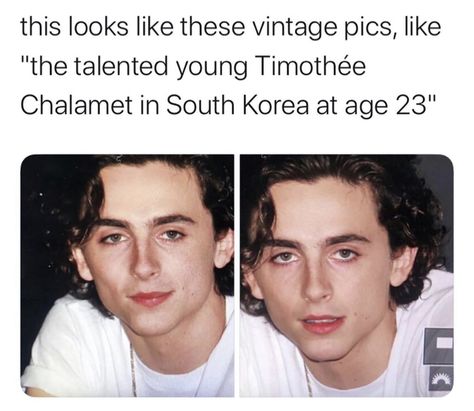 Timothee Chalamet Silly, Timothee Chalamet Tweets, I Love Timothee Chalamet Pfp, Goofy Timothee Chalamet, Timothee Chalamet Memes Funny, French Boys, Famous Babies, Bts Lyrics Quotes, Regulus Black