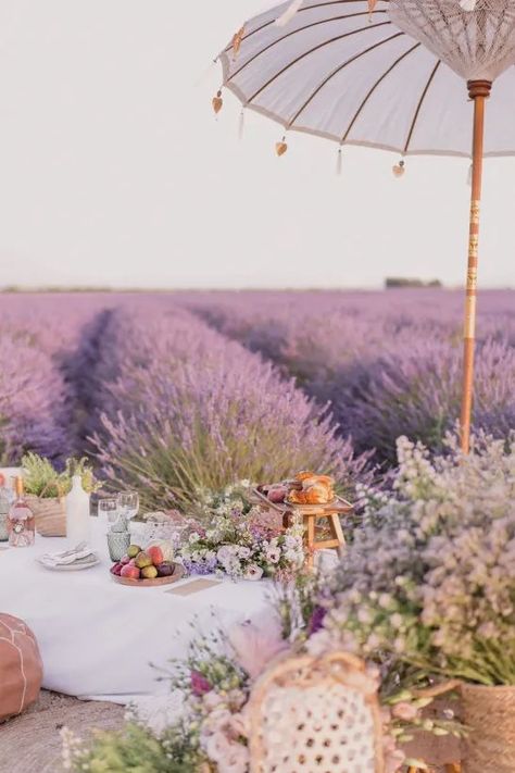 French Decorating Ideas Provence France, Field Picnic, Provence Decor, Provencal Decor, Brunch Event, Lavender Cottage, Wedding Themes Summer, Wedding Brunch, Provence Wedding