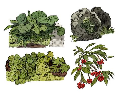 수채화 그림, Plant Drawing, Arte Sketchbook, Wow Art, Environment Concept Art, Plant Art, 영감을 주는 캐릭터, Environmental Art, Art Studies