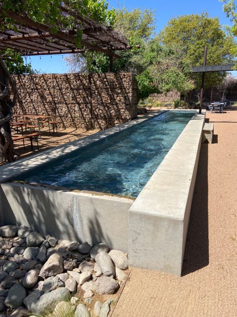 Small Concrete Pool, Cement Pool, Raised Pools, Piscina Rectangular, Pool Landscape Design, Small Backyard Landscaping Ideas, Natural Swimming Pools, Concrete Pool, Small Pool Design