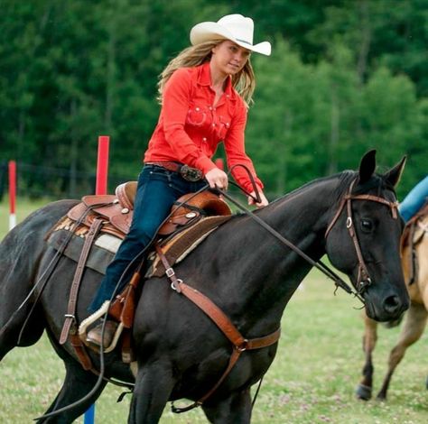 Watch Heartland, Heartland Actors, Amy Fleming, Heartland Cbc, Heartland Quotes, Sanderson Sisters Shirt, Heartland Amy, Amy And Ty Heartland, Pictures With Horses