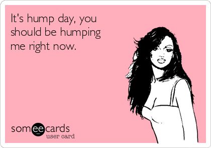 It's hump day, you should be humping me right now. Hump Day Quotes, Hump Day Humor, Funny Flirty Quotes, Funny Confessions, Inappropriate Thoughts, Dirty Girl, Humor Inappropriate, Happy Hump Day, Memes Sarcastic