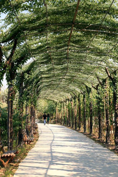 green corridor stock photos Green Corridor Urban Design, Open Corridor Design, Path Architecture, Garden Corridor, Outdoor Corridor, Green Canopy, Green Corridor, Landscape Stairs, Green Terrace