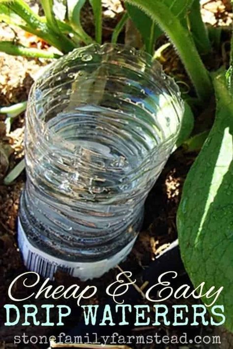 Slow Watering Plants Drip Irrigation, Garden Ideas Long, Self Watering Bottle, Diy Self Watering Planter, Plant Watering System, Garden Watering System, Backyard Garden Diy, Self Watering Plants, Vegetable Patch