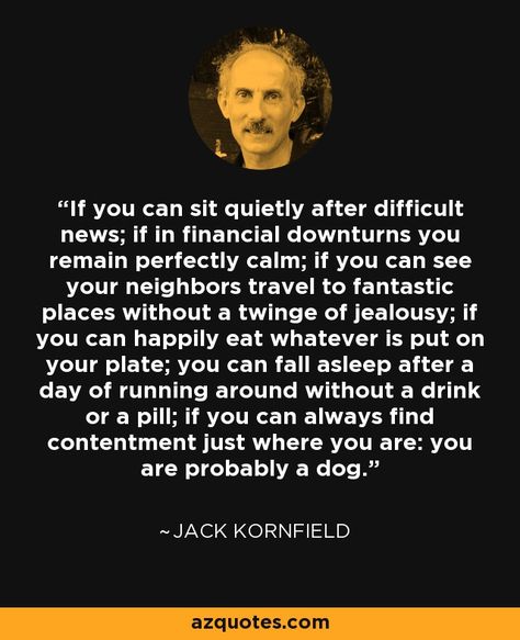 If you can sit quietly after difficult news; if in financial downturns you remain perfectly calm; if you can see your neighbors travel to fantastic places without a twinge of jealousy; if you can happily eat whatever is put on your plate; you can fall asleep after a day of running around without a drink or a pill; if you can always find contentment just where you are: you are probably a dog. - Jack Kornfield Holden Caulfield Quotes, Katherine Mansfield Quotes, No Such Thing As Coincidence Quote, Jack Kornfield Quotes, I Don’t Believe In Coincidence, Jack Kornfield, Psychology Research, Jon Kabat Zinn, Spiritual People