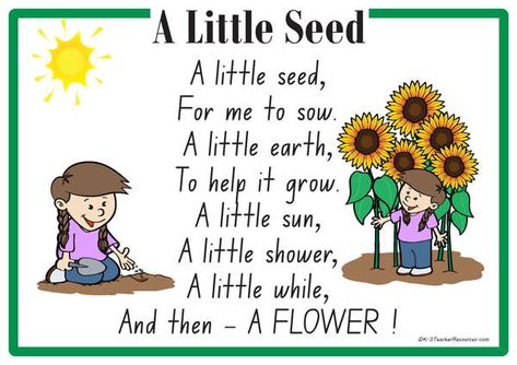 A Little Seed Rhyme- a printable nursery rhyme - great for group sentence and word reconstruction activities. English Rhymes For Kids Kindergarten, Nursery Rhymes Printables, Nature Poems For Kids, Poem About Nature, Spring Kindergarten Activities, Nursery Poem, Preschool Poems, Nursery Rhymes Poems, English Poems For Kids