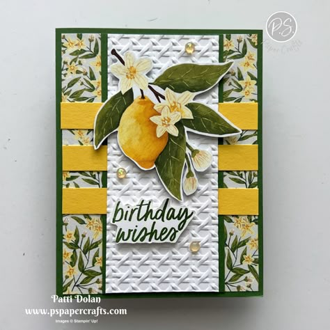 Mediterranean Blooms Cards, Stampin Up Citrus Blooms Cards, Stampin Up Citrus Blooms, Stampin Up Mediterranean Blooms, Citrus Blooms Stampin Up Cards, Mediterranean Blooms Stampin Up Cards, Stampin Up 2025, Sicilian Summer, Girly Cards