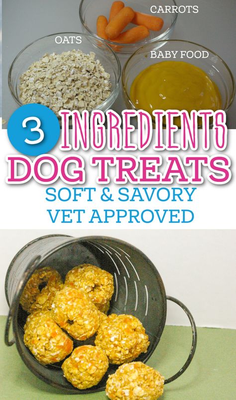 3 Ingredients Soft and Savory Dog Treats, Vet Approved Soft Dog Treats For Senior Dogs, Carrot Cake Dog Treats, Soft Puppy Treats Homemade, Homemade Dog Treats For Joints, Baby Food Dog Treats Recipes, Diy Soft Dog Treats, Soft Dog Treats Homemade Easy, Carrot Dog Treats Recipes, Chewy Dog Treats Homemade