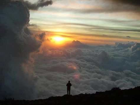 Standing on a mountain above the clouds is one of the most euphoric feelings - Imgur Clouds In The Sky, France Culture, A Course In Miracles, Above The Clouds, Wing Chun, Weird Pictures, Top Of The World, Tai Chi, Pics Art