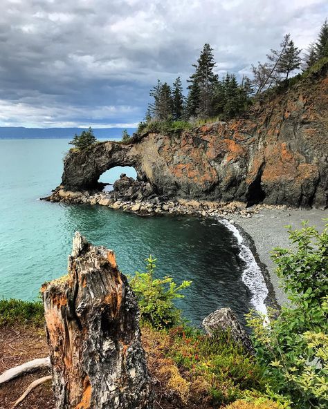 Halibut Cove, Alaska The Arch. #alaska #alaskafromscratch #halibutcove #thesaltry Halibut Cove Alaska, Cordova Alaska, Alaska Life, Stone Homes, Season 12, The Arch, Stone Houses, Hiking Trip, Oh The Places Youll Go