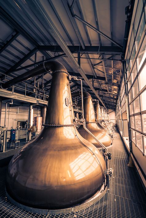 A squadron of stills at Glen Ord Distillery. There are two still houses with 8 + 6 stills - a total of 14  Glen Ord Distillery | Highlands Roadtrip | Northcoast 500 | Wandering Spirits Global Whiskey Still, Brewery Design, Copper Still, Whiskey Distillery, Beer Time, Home Brewing Beer, Old Trains, Abandoned Mansions, Visit Scotland